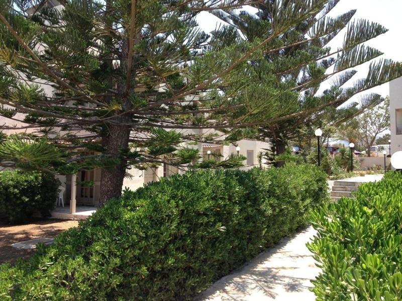 Panorama-Seaview Studios & Apartments Hersonissos  Exterior photo